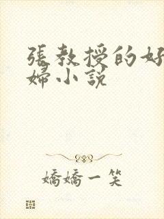 张教授的好儿媳妇小说