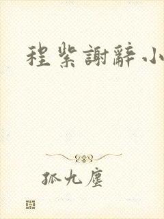 程紫谢辞小说