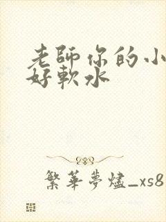 老师你的小兔子好软水
