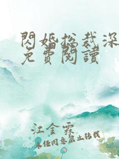 闪婚总裁深深宠免费阅读