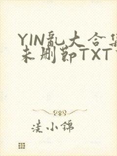 YIN乱大合集未删节TXT下载