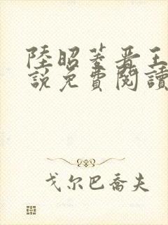 陆昭菱晋王的小说免费阅读