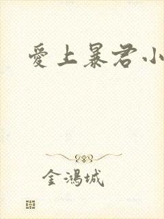 爱上暴君小甜心