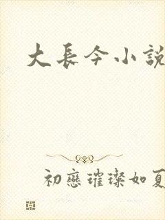 大长今小说下载