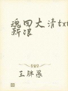 魂回大清txt新浪