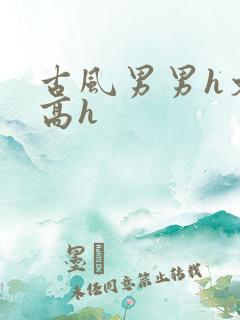 古风男男h文肉高h