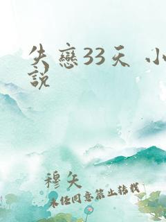 失恋33天 小说