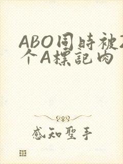 ABO同时被2个A标记肉