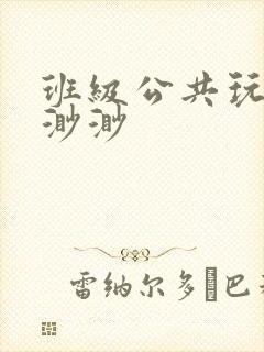 班级公共玩具叶渺渺