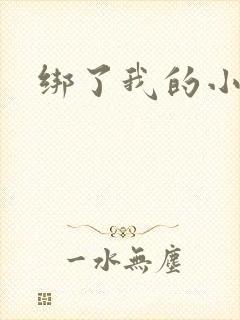 绑了我的小乖乖