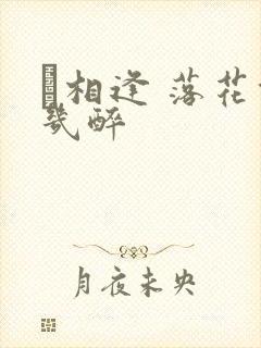 囍相逢 落花能几醉