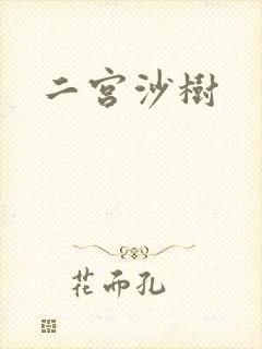 二宫沙树