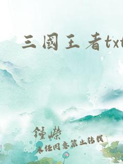 三国王者txt