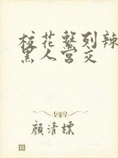 校花系列辣h文黑人宫交