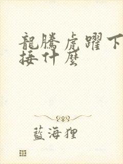 龙腾虎跃下一句接什么