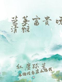 荣华富贵 晚歌清雅