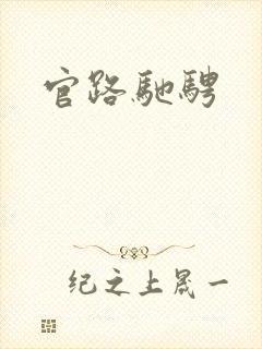 官路驰骋