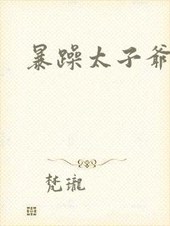 暴躁太子爷
