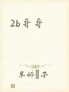 2b哥哥