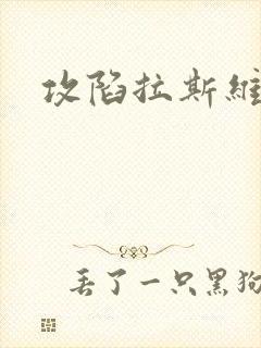 攻陷拉斯维加斯