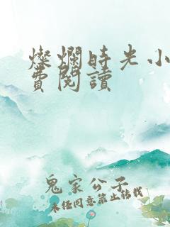 灿烂时光小说免费阅读