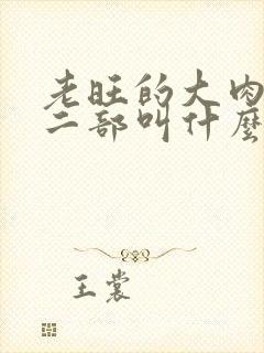 老旺的大肉蟒第二部叫什么小说