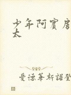 少年阿宾房东太太