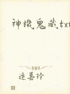 神机鬼藏txt