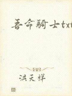 吾命骑士txt