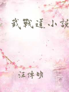 武战道小说