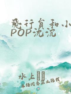 飞行员和小空乘POP沈沉