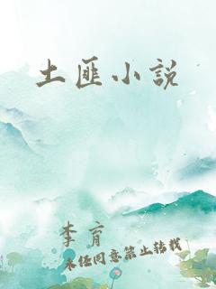 土匪小说