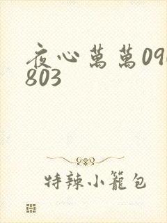 夜心万万090803