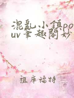 混乱小镇popuv笔趣阁妙妙