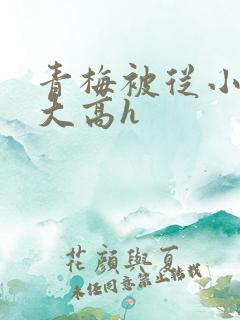 青梅被从小玩到大高h