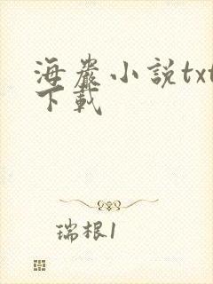 海岩小说txt下载