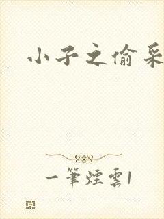 小子之偷采双圣