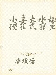 小妻太水嫩陆教授花式宠免费阅读 小说