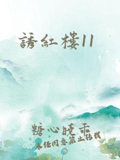 诱红楼11