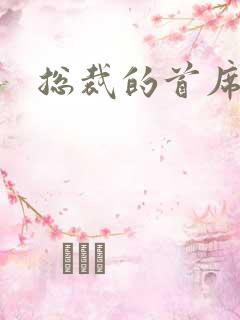 总裁的首席保姆