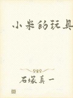 小米的玩具日记