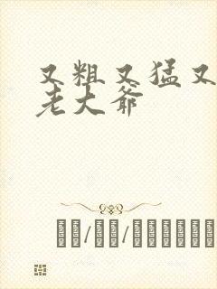 又粗又猛又大爽老大爷