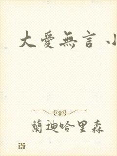 大爱无言 小说
