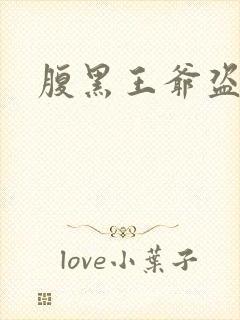 腹黑王爷盗墓妃