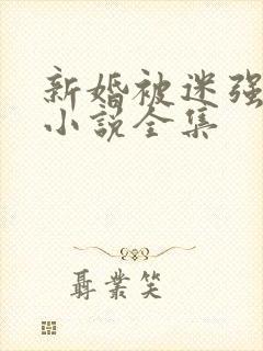 新婚被迷强系列小说全集