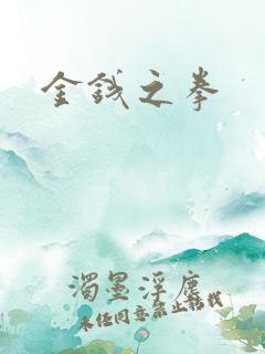 金钱之拳