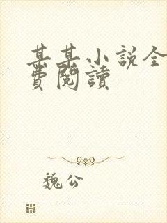 某某小说全文免费阅读