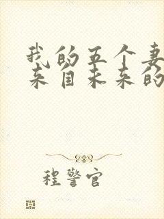 我的五个妻子和来自未来的孩子