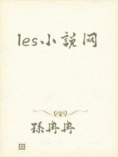les小说网