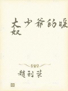 大少爷的暖床小奴